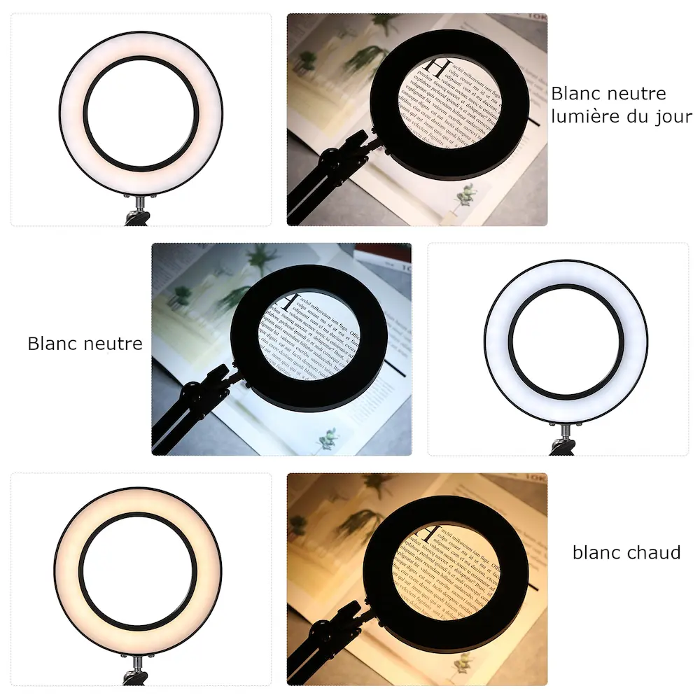 Lampe loupe Astrid avec réglage de température de lumière